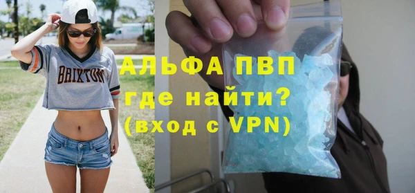шишки Заволжье