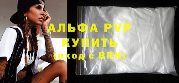 шишки Заволжье
