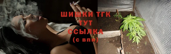 шишки Заволжье