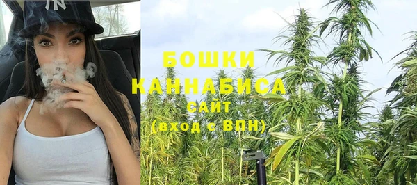 шишки Заволжье