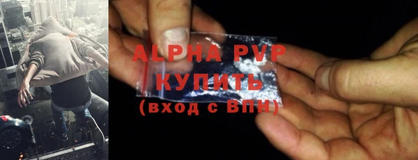 шишки Заволжье