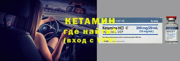шишки Заволжье