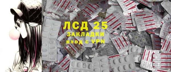шишки Заволжье