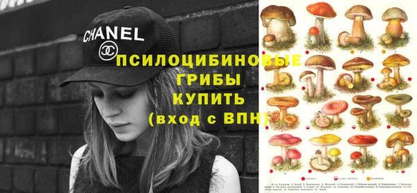 МДПВ Заводоуковск