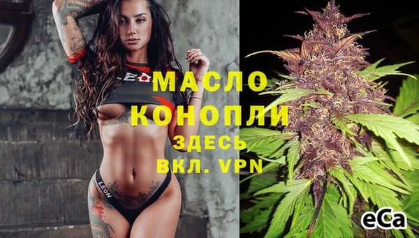 МДПВ Заводоуковск