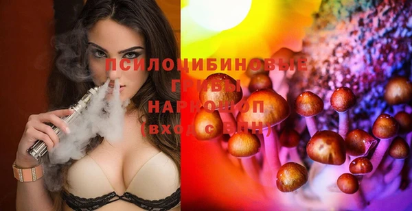 МДПВ Заводоуковск