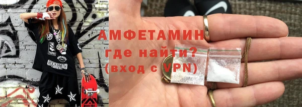 шишки Заволжье