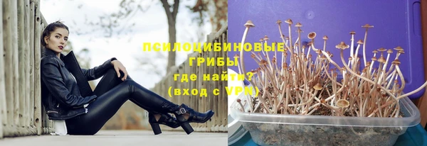 шишки Заволжье