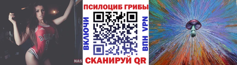 Купить  Избербаш  Галлюциногенные грибы GOLDEN TEACHER 